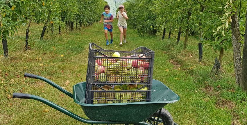Livraison de fruits et légumes dans les Yvelines, Hauts-de-Seine et Val  d'oise